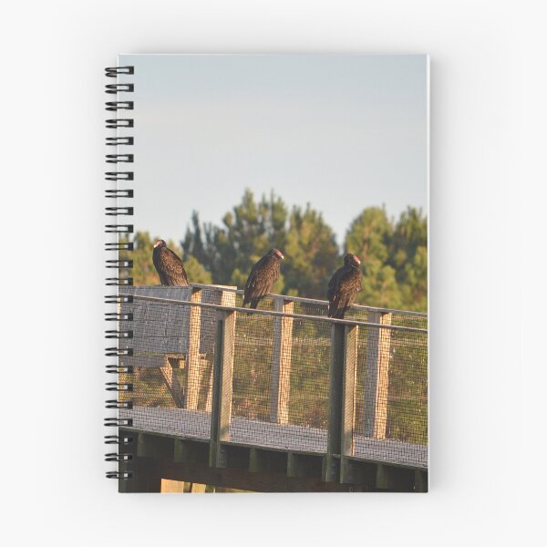 Item preview, Vultures At Sunset designed and sold by Nature's Reflections.