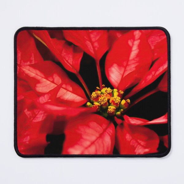 Item preview, Red Poinsettia close-up designed and sold by Travelways.