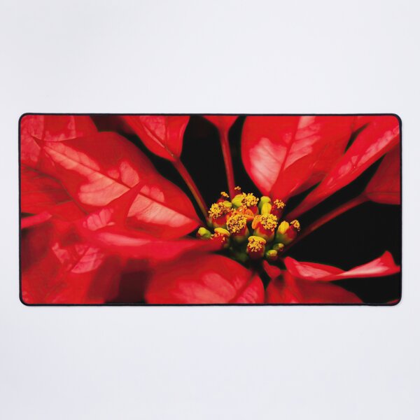 Item preview, Red Poinsettia close-up designed and sold by Travelways.