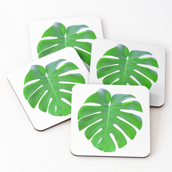 Item preview, Hoja de monstera designed and sold by Meo Design.