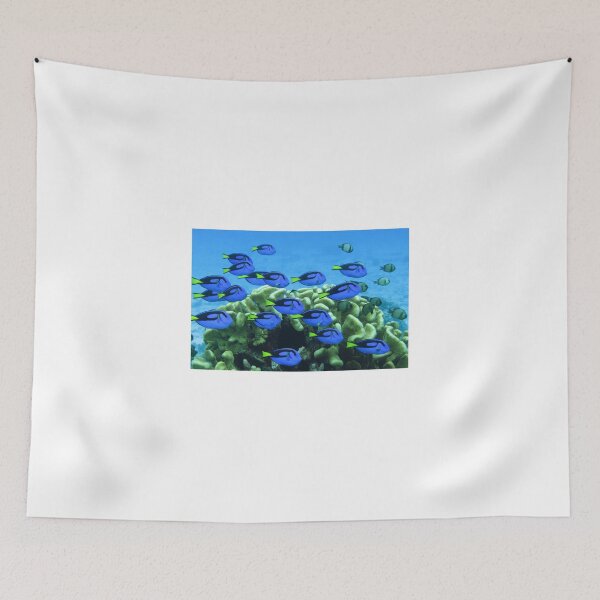 Item preview, Blue Tang designed and sold by Coral Sea Foundation.