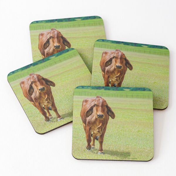 Item preview, Brahma cow with soft floppy ears in a green field designed and sold by noblephoto.