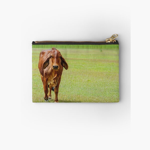 Item preview, Brahma cow with soft floppy ears in a green field designed and sold by noblephoto.