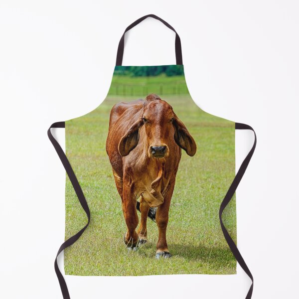 Item preview, Brahma cow with soft floppy ears in a green field designed and sold by noblephoto.