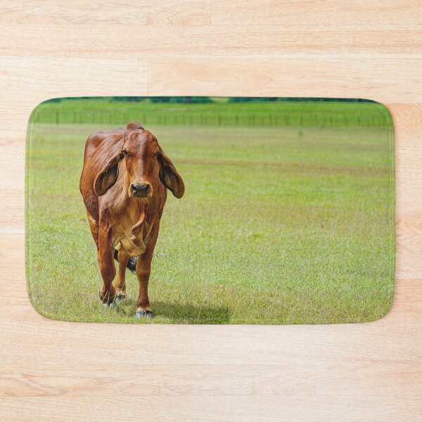 Item preview, Brahma cow with soft floppy ears in a green field designed and sold by noblephoto.