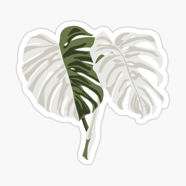 Vista previa del artículo con la obra «Monstera Albo», diseñado y vendido por sadiebatte.