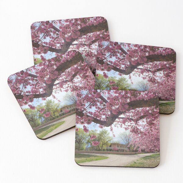 Item preview, Los Luceros Hacienda Through the Blossom designed and sold by CESW Photography.