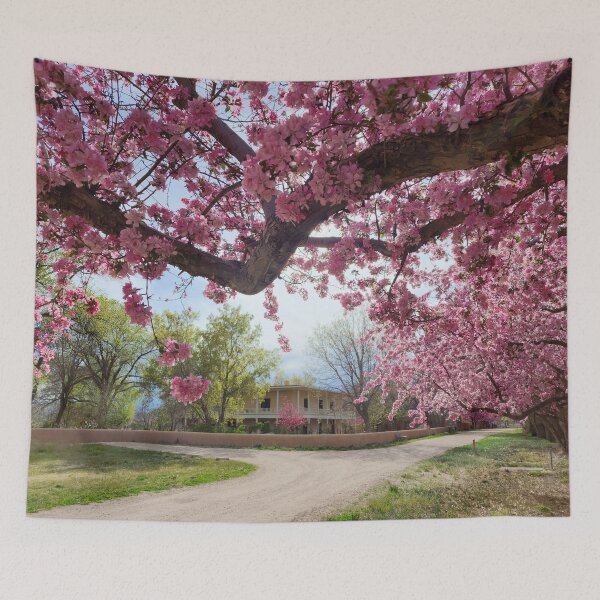 Item preview, Los Luceros Hacienda Through the Blossom designed and sold by CESW Photography.