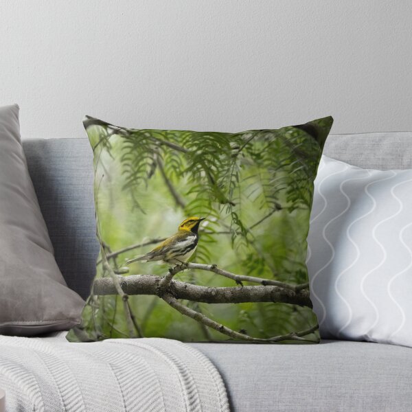 Item preview, Black-throated Green Warbler designed and sold by CESW Photography.