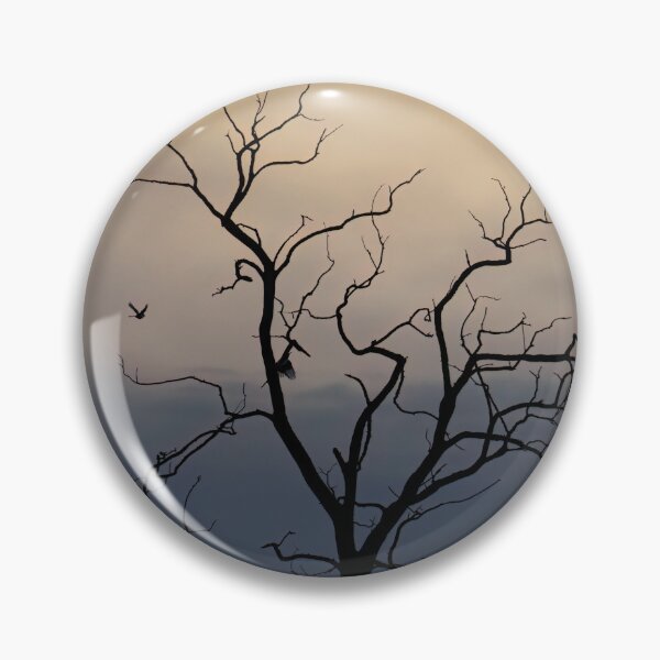 Item preview, A Conference of Magpies designed and sold by CESW Photography.