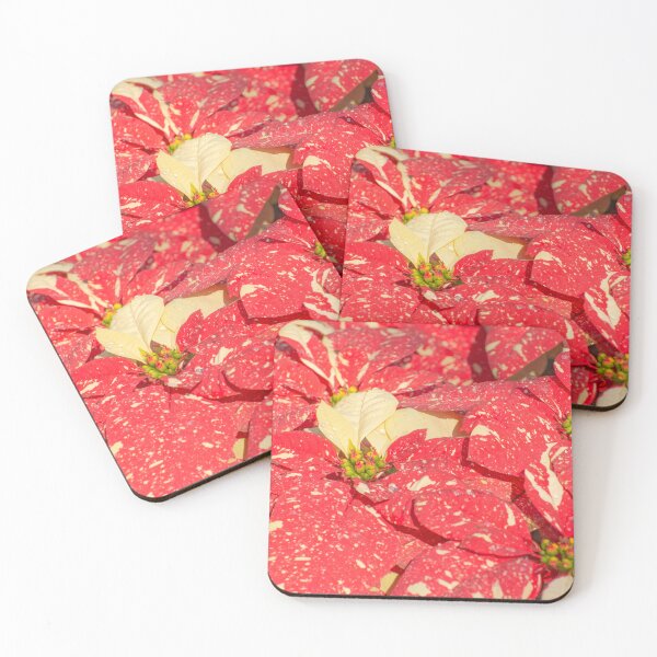 Item preview, Christmas plant Poinsettia Flower designed and sold by Zina Stromberg.