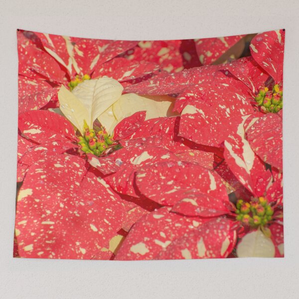 Item preview, Christmas plant Poinsettia Flower designed and sold by Zina Stromberg.