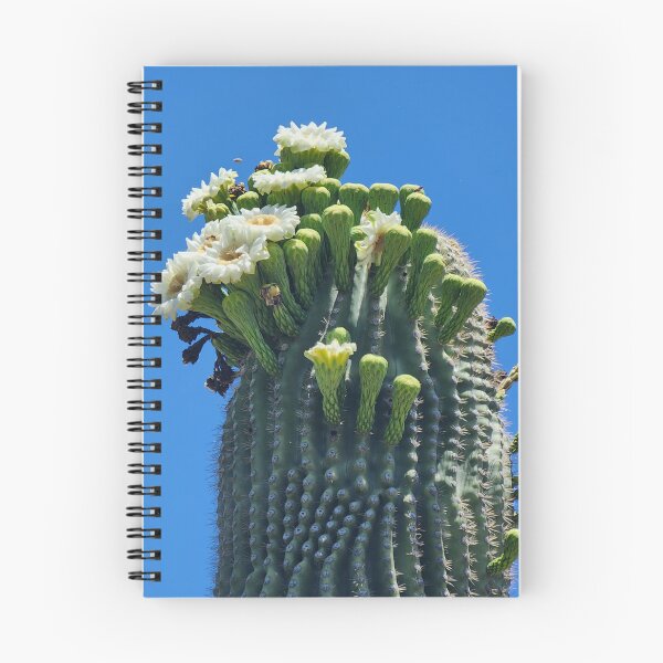 Item preview, Saguaro en Aqua Caliente designed and sold by CESW Photography.