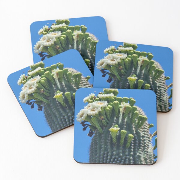 Item preview, Saguaro at Aqua Caliente designed and sold by CESW Photography.