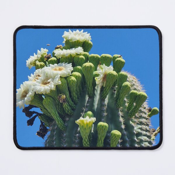 Item preview, Saguaro at Aqua Caliente designed and sold by CESW Photography.