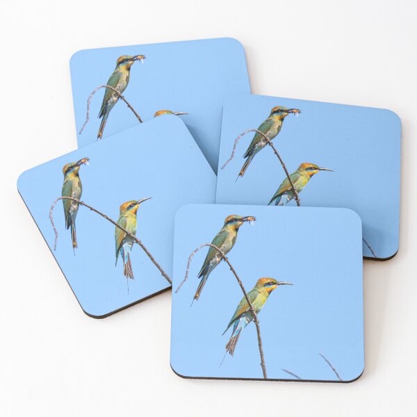 Item preview, Rainbow Bee-eater pair designed and sold by Matt Vickery.