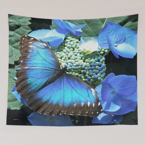 Item preview, Pretty Blue Morpho Butterfly designed and sold by Susan Christopher.