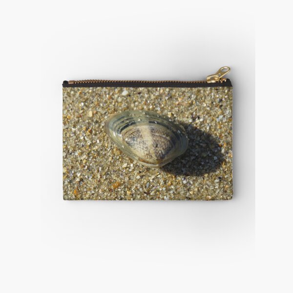 Item preview, Stripy cockle shells designed and sold by greentiger1.