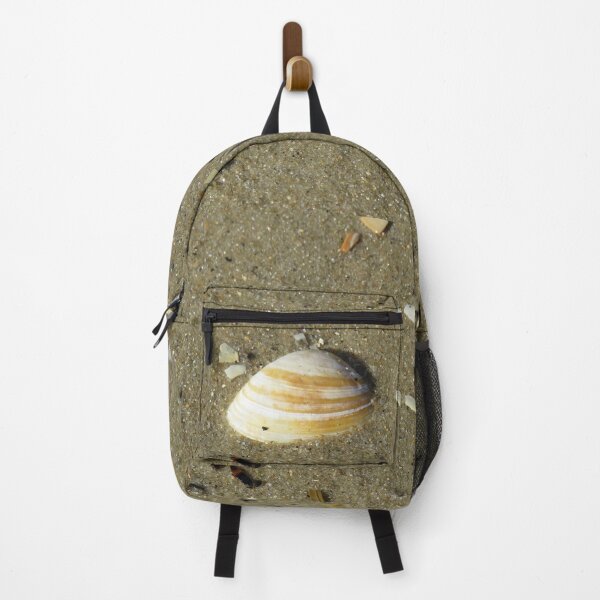 Item preview, A stripy seashell designed and sold by greentiger1.
