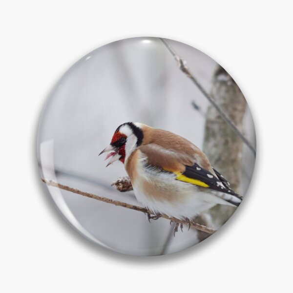 Item preview, That was bad. European goldfinch designed and sold by Jouko Lehto Photography.