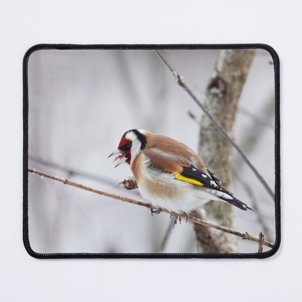 Item preview, That was bad. European goldfinch designed and sold by Jouko Lehto Photography.