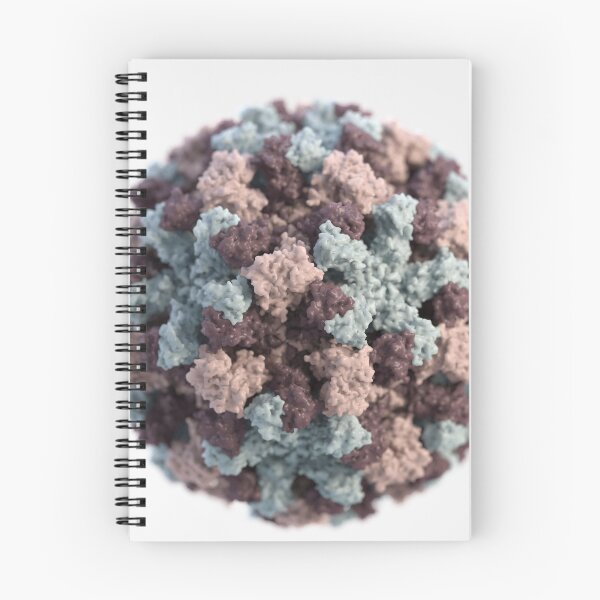 Item preview, STK701236H-3D representation of Norovirus. designed and sold by StocktrekImages.