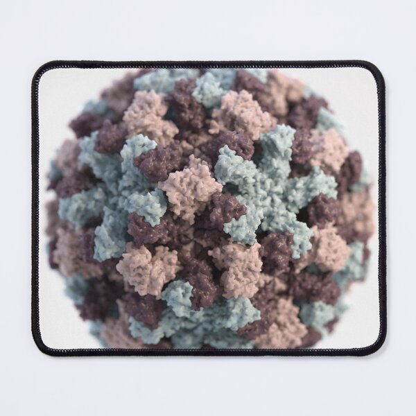 Item preview, STK701236H-3D representation of Norovirus. designed and sold by StocktrekImages.