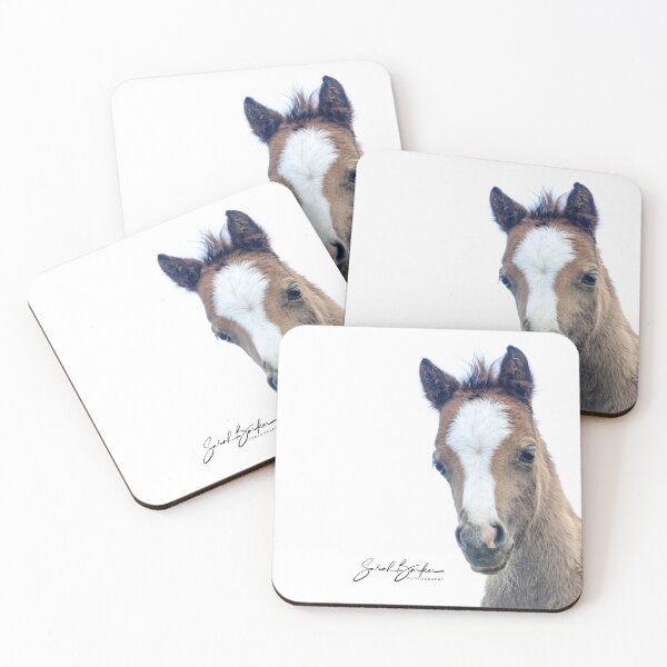 Item preview, Welsh Mountain pony foal designed and sold by Rivington.