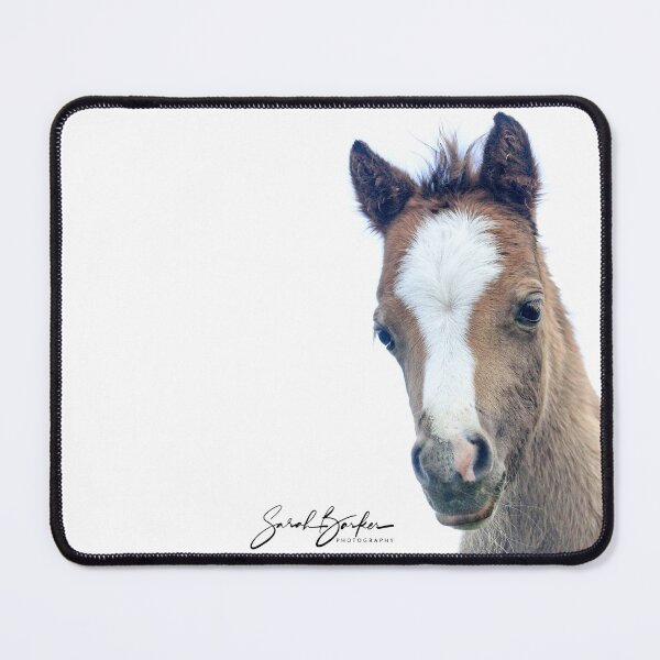 Item preview, Welsh Mountain pony foal designed and sold by Rivington.