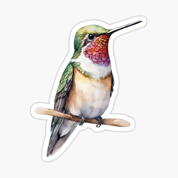 Item preview, Awesome Hummingbird designed and sold by Bilisik.