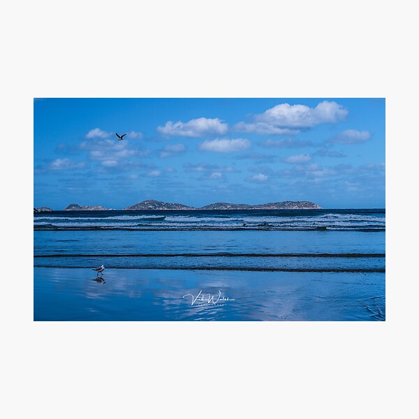 Item preview, Whisky Bay, Wilson’s Promontory National Park, South Gippsland. designed and sold by Vicki Walsh.