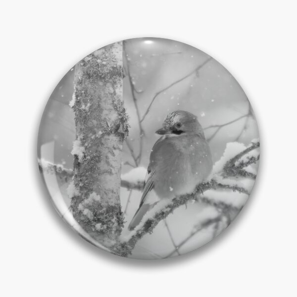Item preview, Wintertime thoughts. Eurasian jay bw designed and sold by Jouko Lehto Photography.