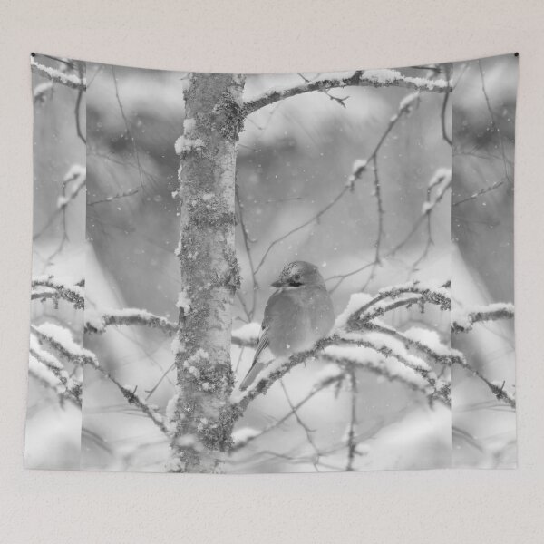 Item preview, Wintertime thoughts. Eurasian jay bw designed and sold by Jouko Lehto Photography.