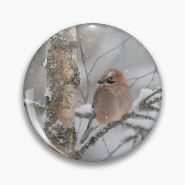 Item preview, Wintertime thoughts. Eurasian jay designed and sold by Jouko Lehto Photography.