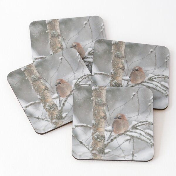 Item preview, Wintertime thoughts. Eurasian jay designed and sold by Jouko Lehto Photography.