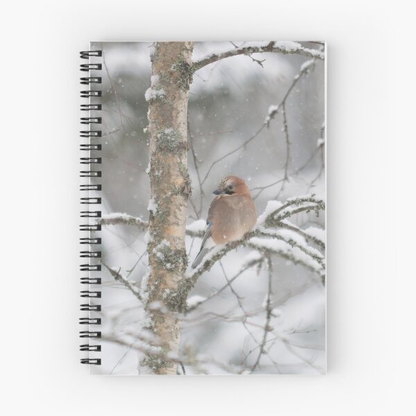 Item preview, Wintertime thoughts. Eurasian jay designed and sold by Jouko Lehto Photography.