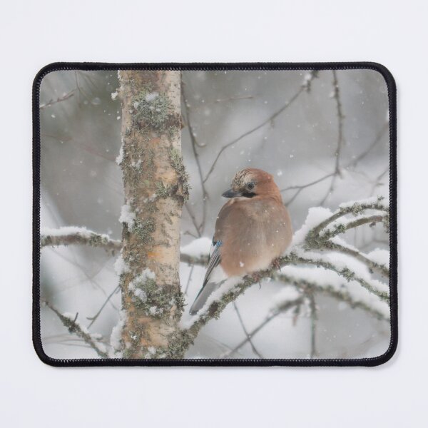 Item preview, Wintertime thoughts. Eurasian jay designed and sold by Jouko Lehto Photography.