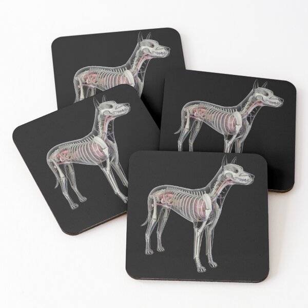 Item preview, STK701244H-Dog anatomy with organs and skeletal structure. designed and sold by StocktrekImages.