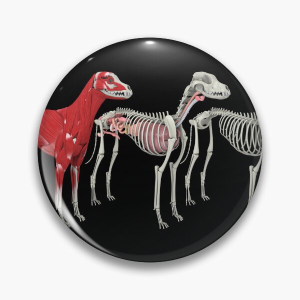 Item preview, STK701245H-Anatomy of a dog. designed and sold by StocktrekImages.