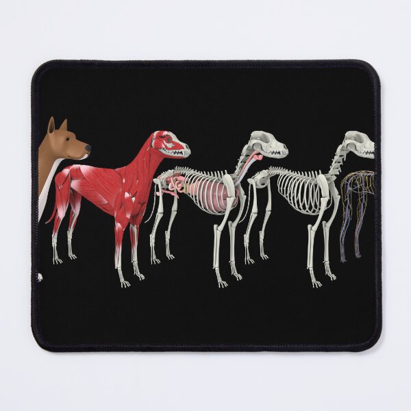 Item preview, STK701245H-Anatomy of a dog. designed and sold by StocktrekImages.