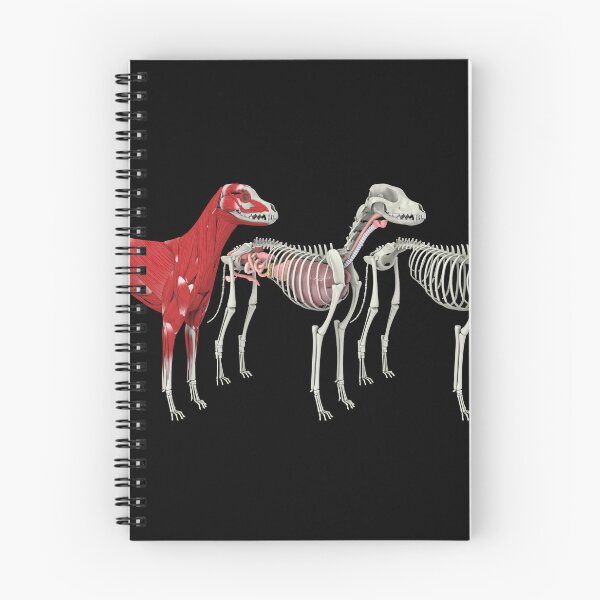 Item preview, STK701245H-Anatomy of a dog. designed and sold by StocktrekImages.