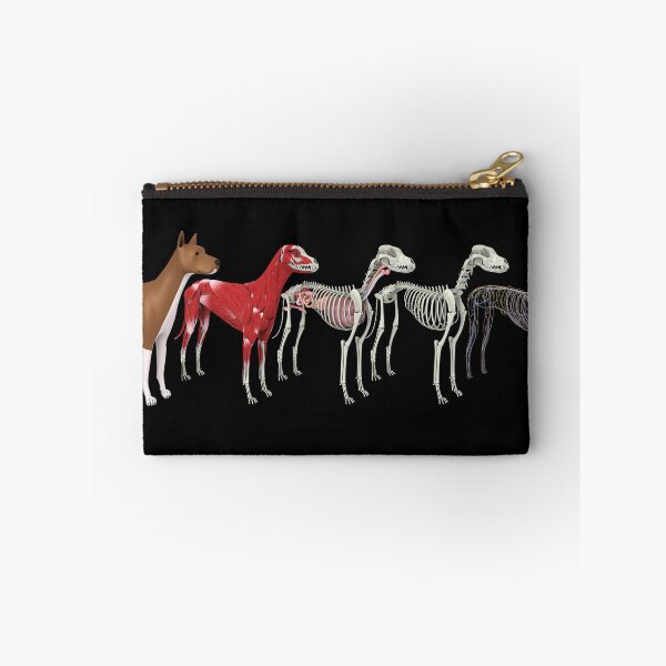 Item preview, STK701245H-Anatomy of a dog. designed and sold by StocktrekImages.