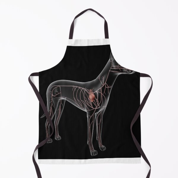 Item preview, STK701249H-Circulatory system of a dog, x-ray view. designed and sold by StocktrekImages.