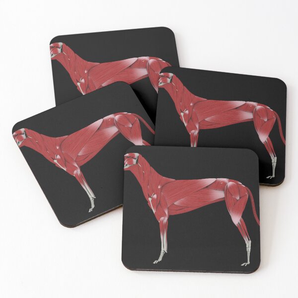 Item preview, STK701253H-Muscular system of a dog, side view. designed and sold by StocktrekImages.