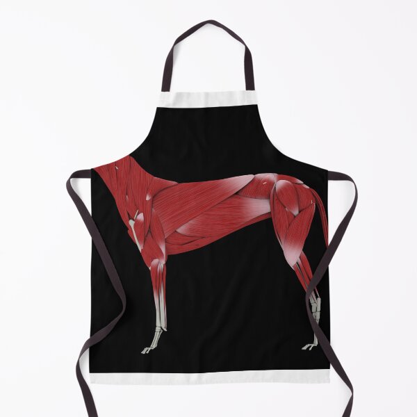 Item preview, STK701253H-Muscular system of a dog, side view. designed and sold by StocktrekImages.