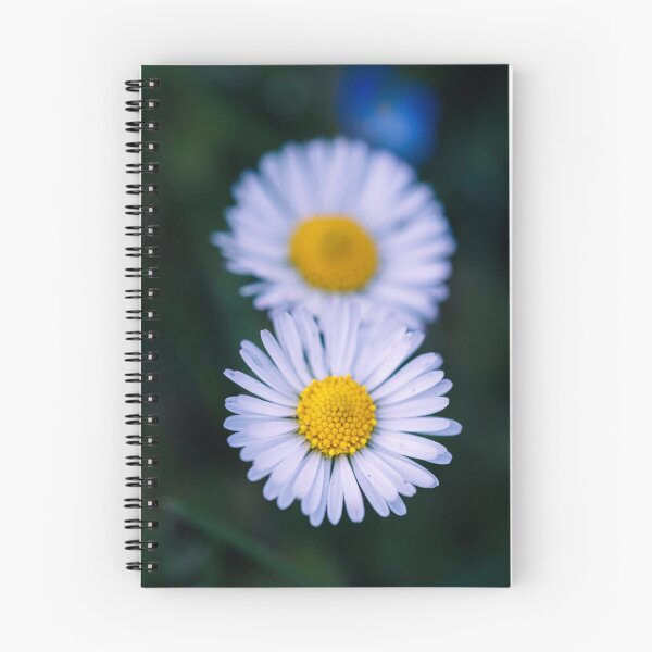 Item preview, Macro photograph of a pair of small daisies on a meadow designed and sold by Giuseppe Cammino.