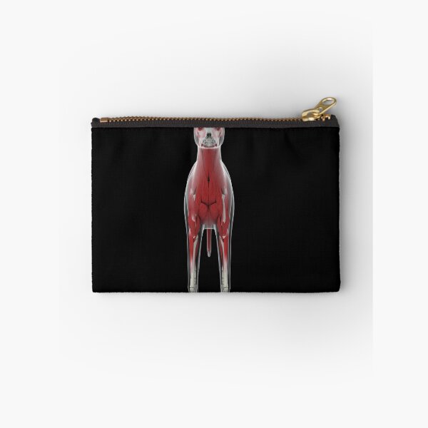 Item preview, STK701255H-Muscular system of a dog, front view. designed and sold by StocktrekImages.