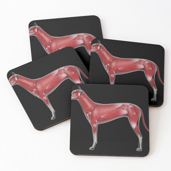 Item preview, STK701256H-Muscular system of a dog, side view. designed and sold by StocktrekImages.