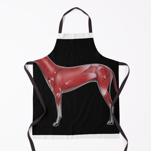 Item preview, STK701256H-Muscular system of a dog, side view. designed and sold by StocktrekImages.