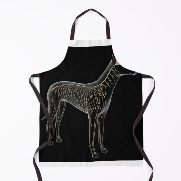 Item preview, STK701257H-Nervous system of a dog, x-ray view. designed and sold by StocktrekImages.